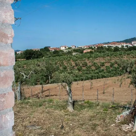 La Giara B&B San Demetrio Corone Exterior foto