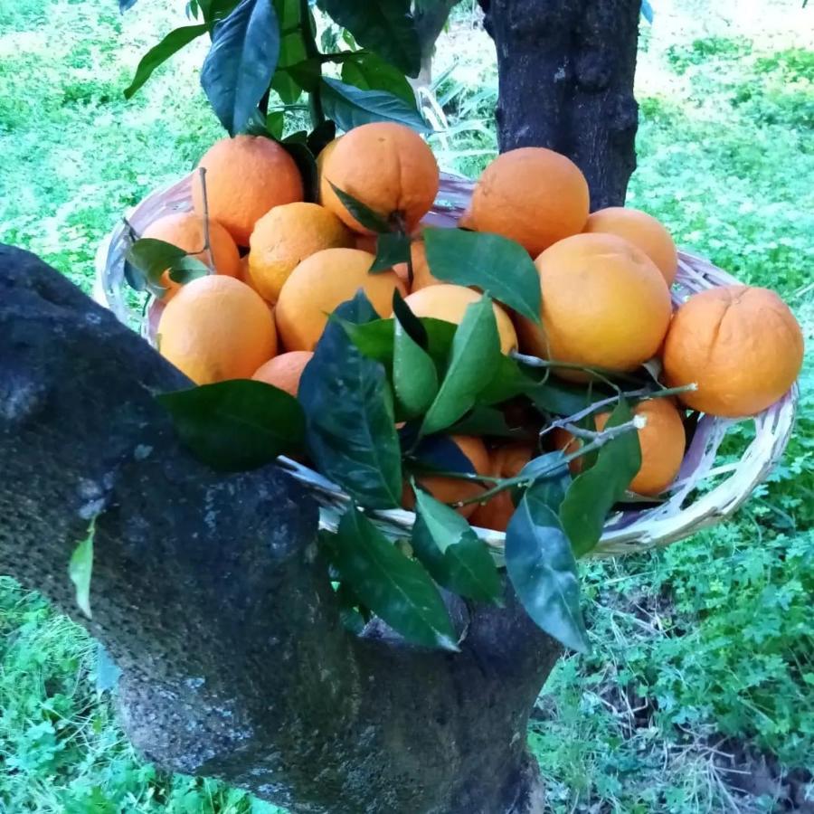 La Giara Frühstückspension
