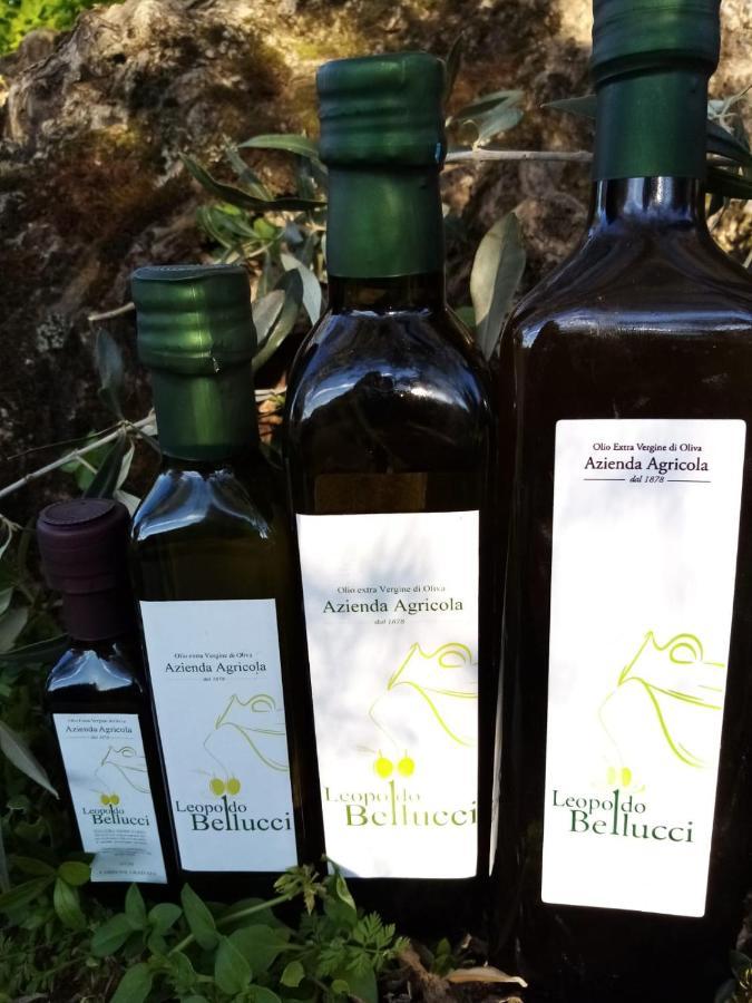 La Giara Frühstückspension San Demetrio Corone